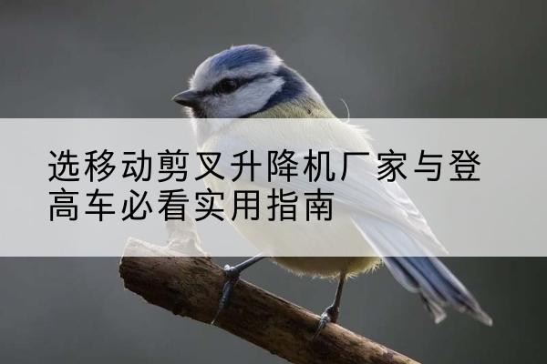 平阴电动升降机厂家-选移动剪叉升降机厂家与登高车必看实用指南