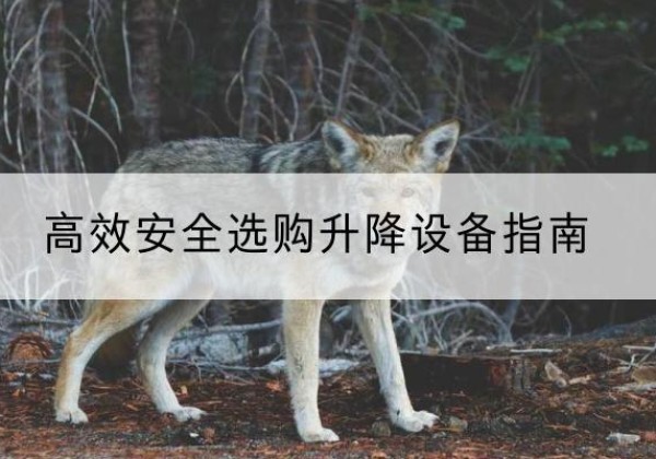 平阴升降货梯厂家推荐-*安全选购升降设备指南