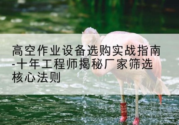 平阴剪叉式升降机厂家-高空作业设备选购实战指南-十年工程师揭秘厂家筛选核心法则